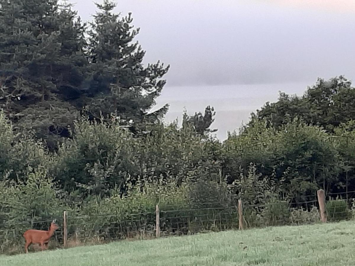 High March Bed and Breakfast Drumnadrochit Εξωτερικό φωτογραφία